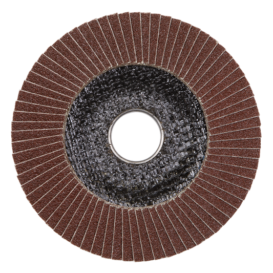 115mm Aluminium Oxide Flap Disc 80 Grit 22mm Bore